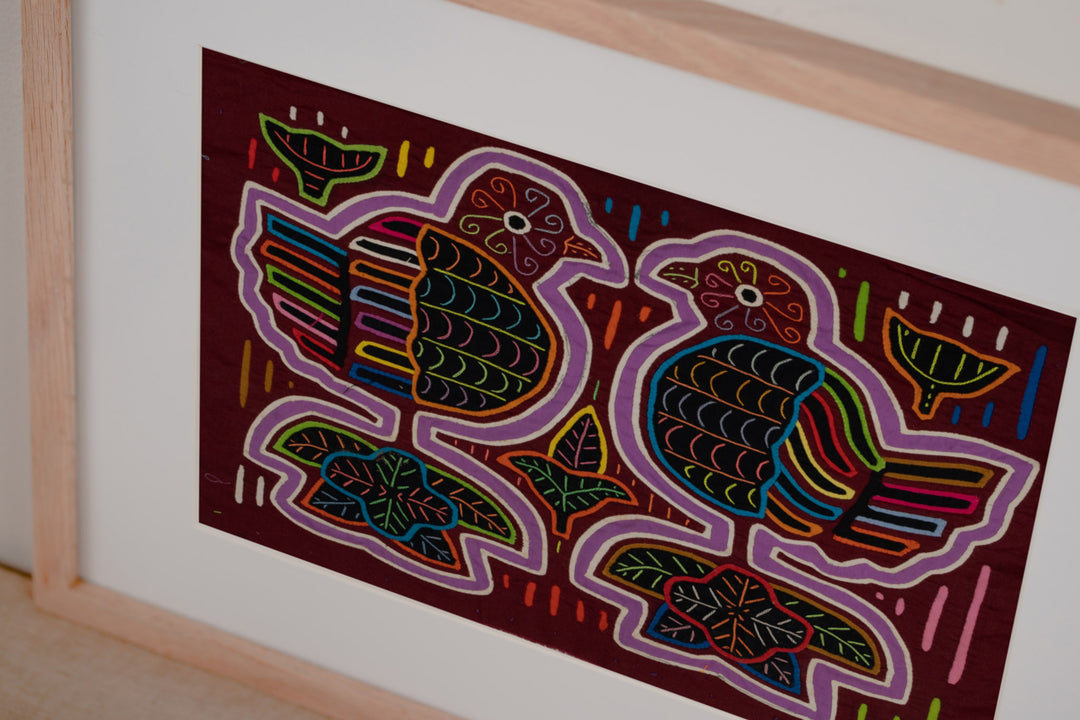 Rainbow Pigeon Dove Bird Mola