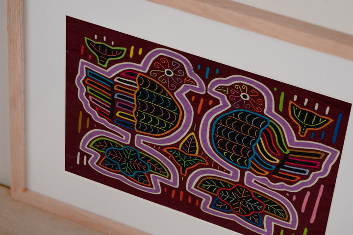 Rainbow Pigeon Dove Bird Mola