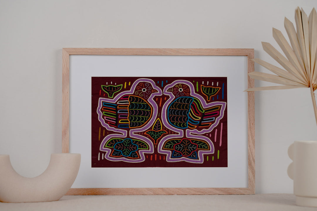 Rainbow Pigeon Dove Bird Mola