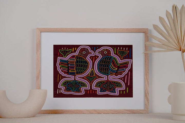 Rainbow Pigeon Dove Bird Mola