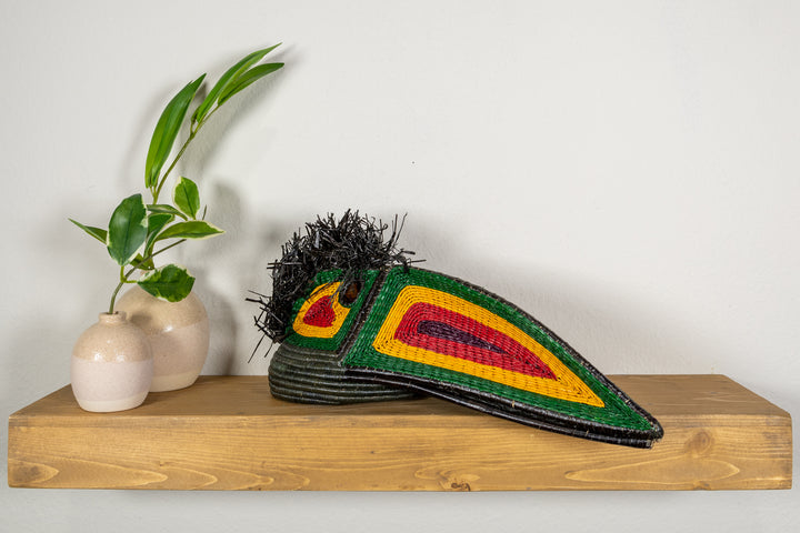 Guianan Toucanet Toucan Mask