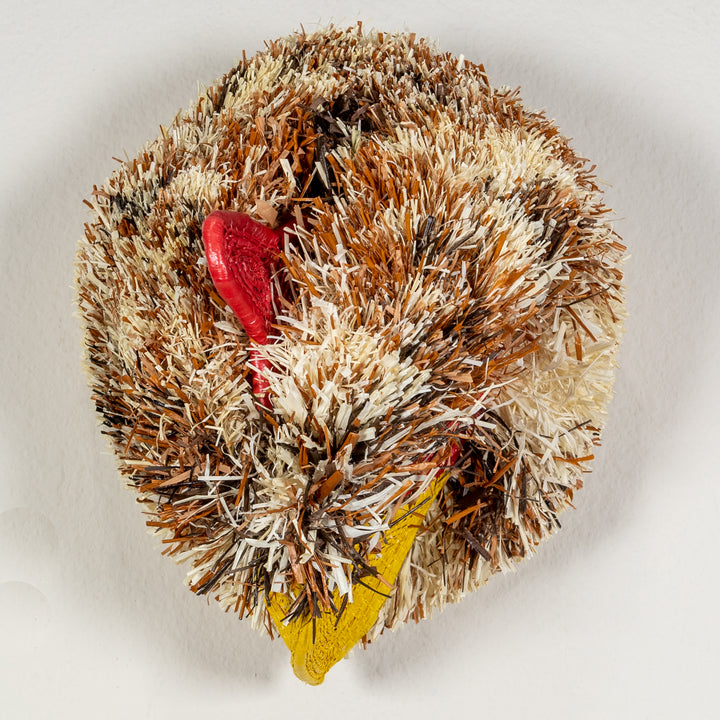 Rainforest Chicken Mask