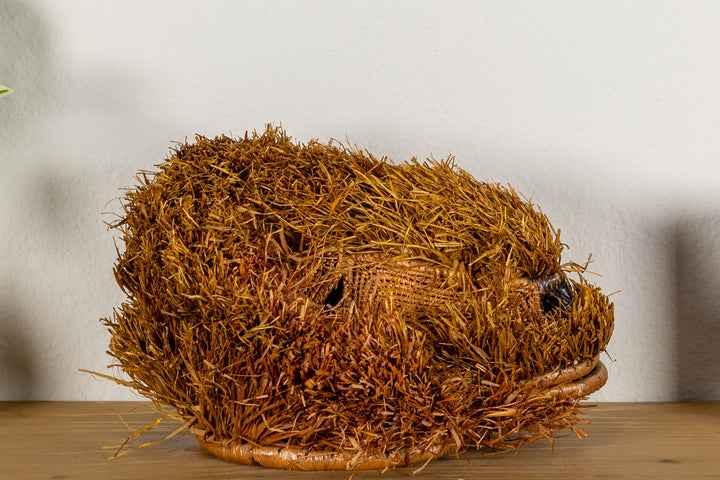 Brown Labradoodle Dog Mask