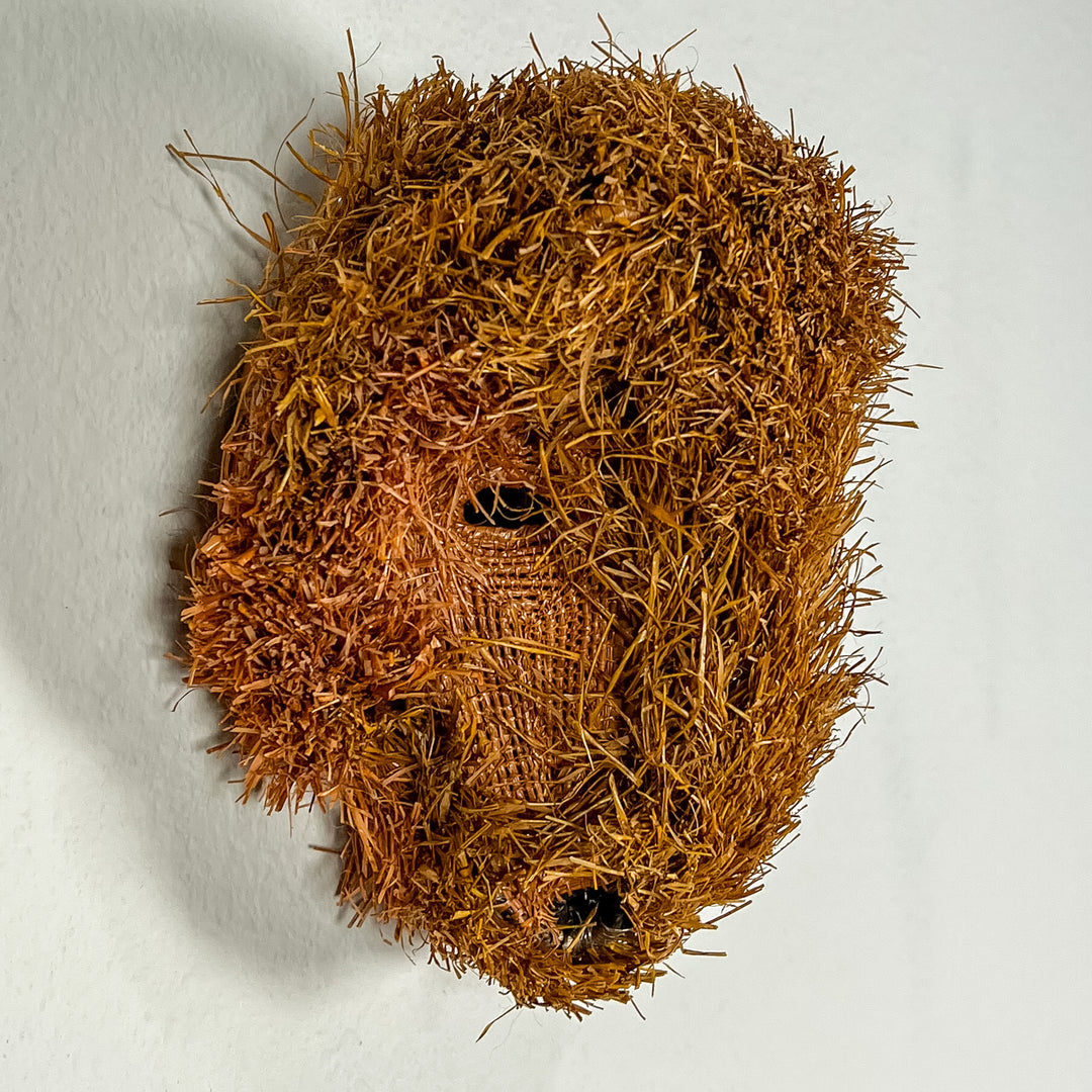 Brown Labradoodle Dog Mask