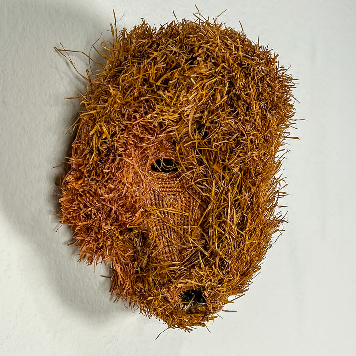 Brown Labradoodle Dog Mask