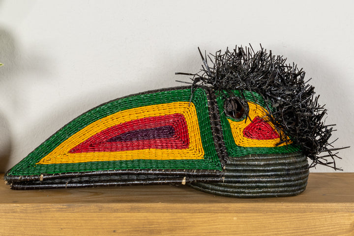 Guianan Toucanet Toucan Mask