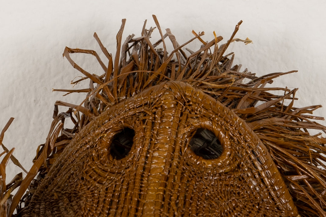 Colombian Red Howler Monkey Mask
