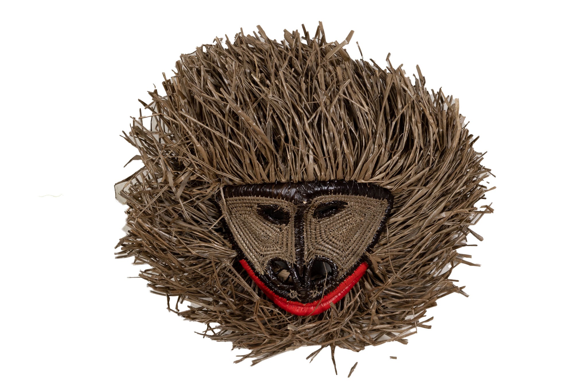 Common Marmoset Monkey Mask