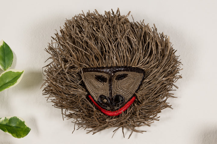 Common Marmoset Monkey Mask