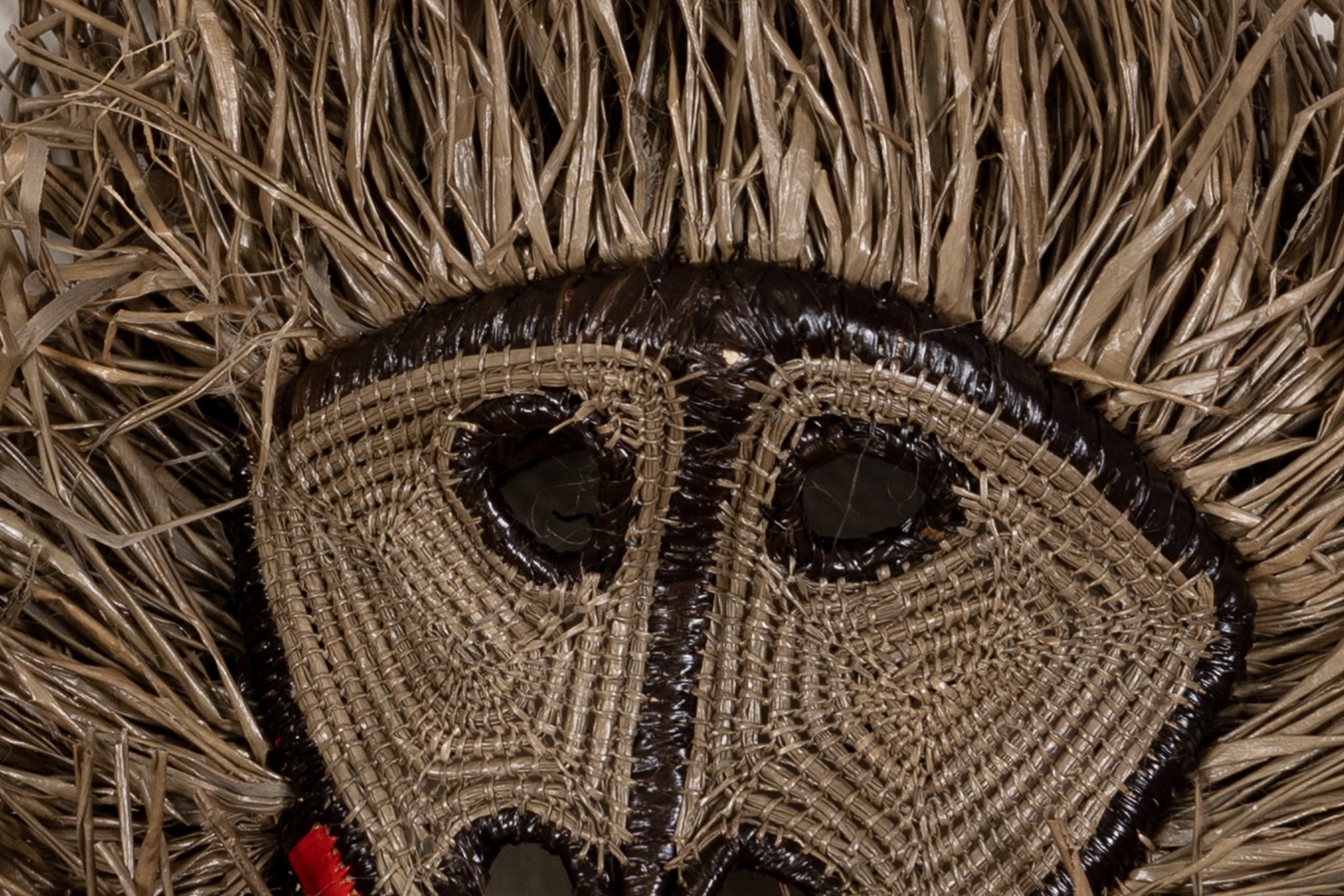 Common Marmoset Monkey Mask
