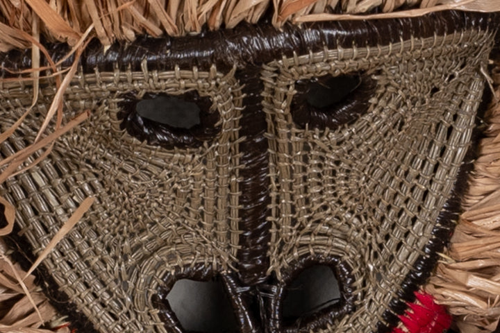 Snub Nosed Monkey Mask