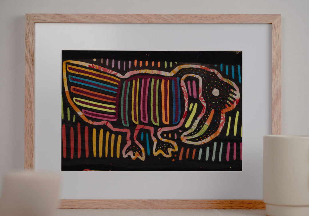 Rainforest Jungle Hungover Late Night Bird Mola