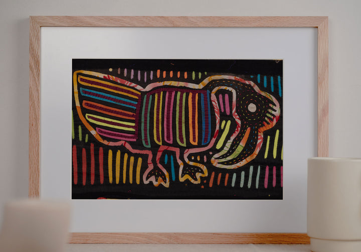 Rainforest Jungle Hungover Late Night Bird Mola