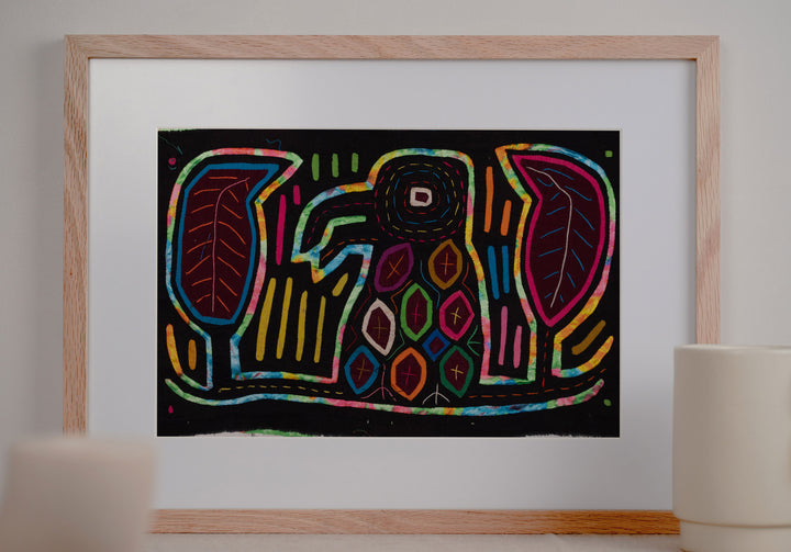 Rainbow Bird Mola