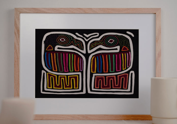 Black White Coy Lovebird Mola