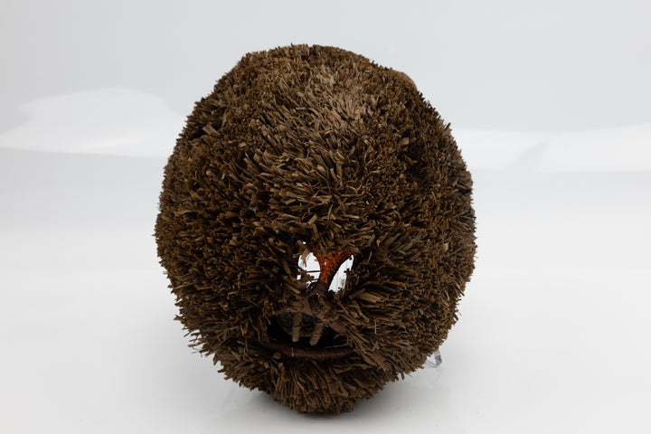 Wounaan Embera Hand Woven Chunga Beaver Mask Panama