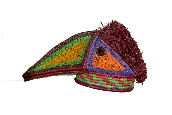 Collared Aracari Toucan Mask