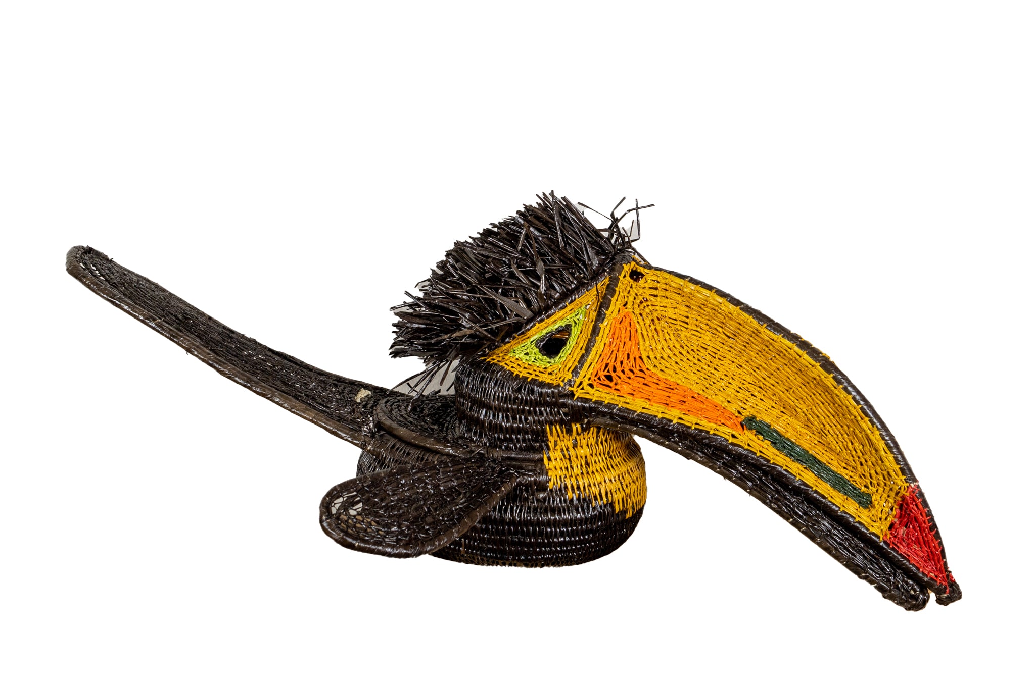 Black and Gold Toucan Bird