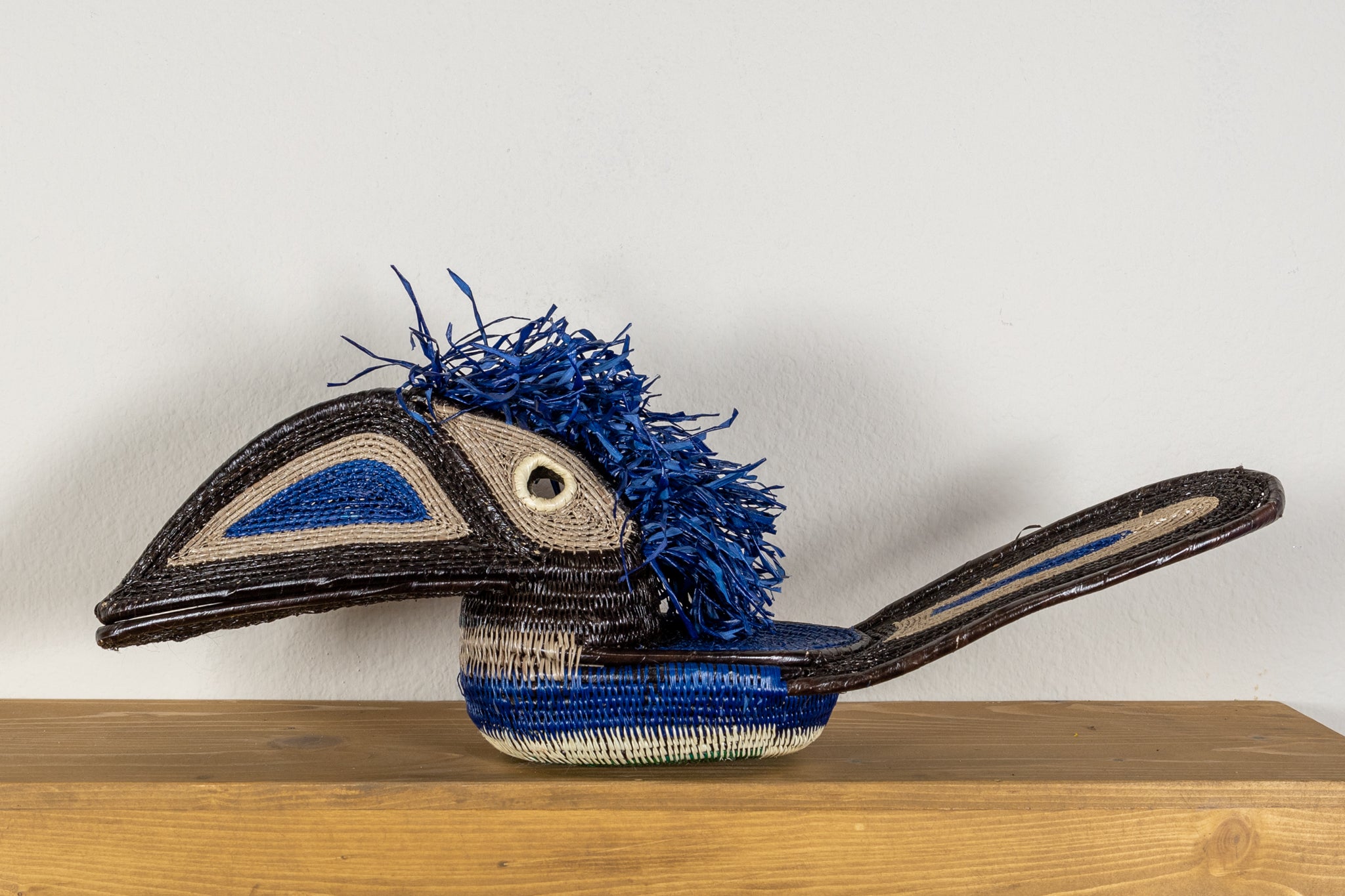 Black and Blue Toucan Bird