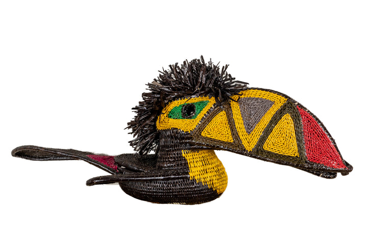 Black and Gold Toucan Bird
