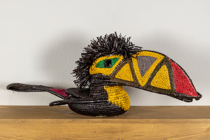 Black and Gold Toucan Bird