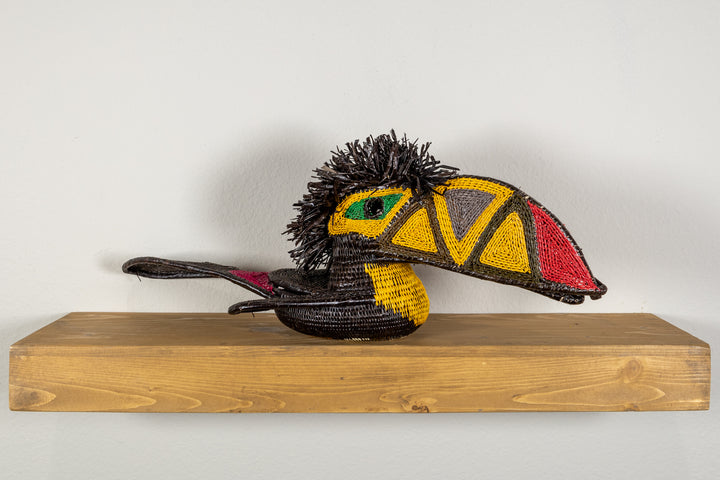 Black and Gold Toucan Bird