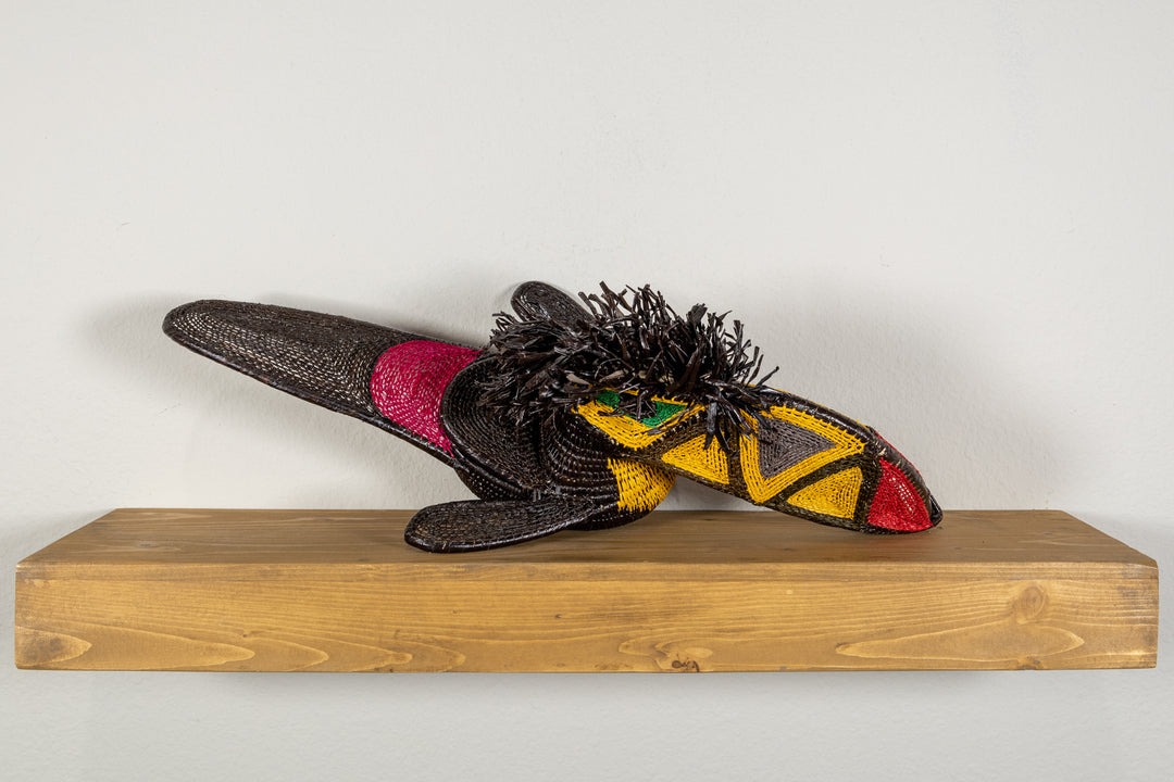 Black and Gold Toucan Bird