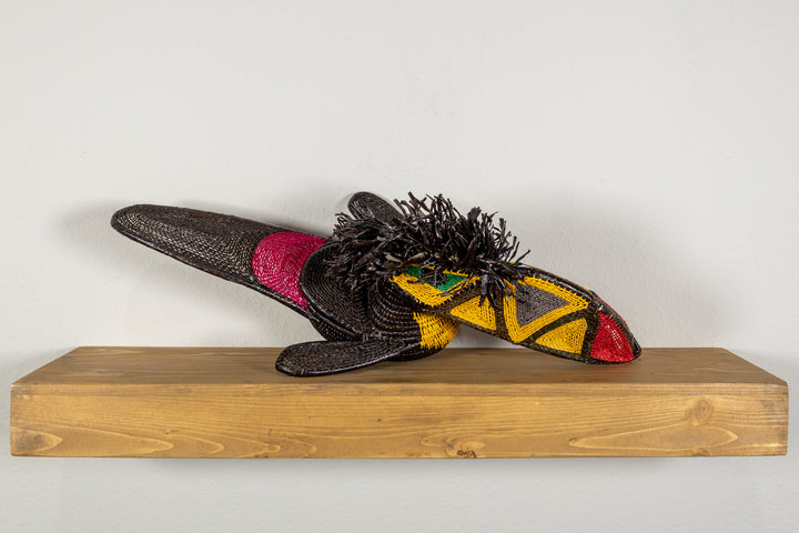 Black and Gold Toucan Bird