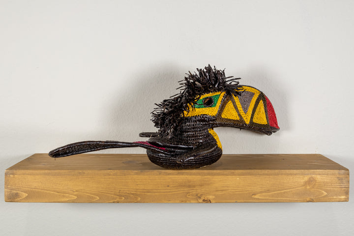 Black and Gold Toucan Bird
