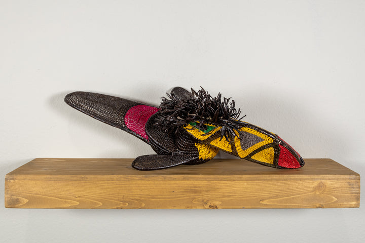 Black and Gold Toucan Bird