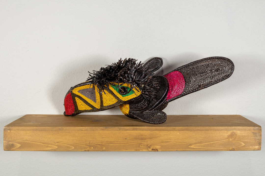 Black and Gold Toucan Bird