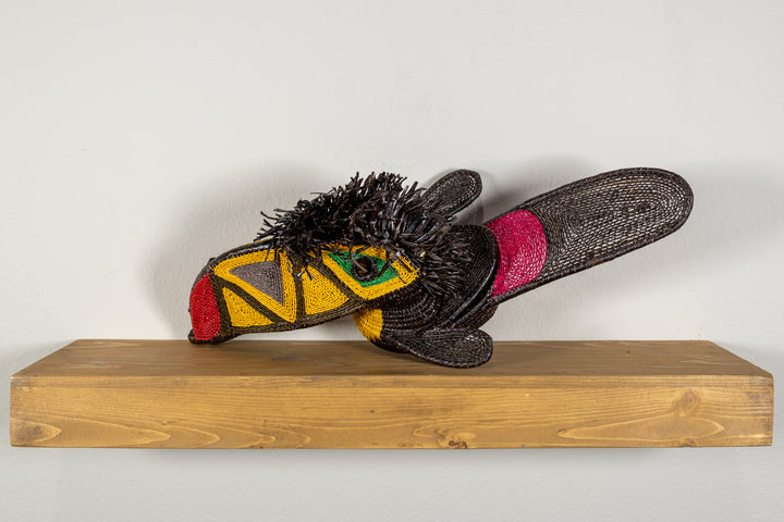 Black and Gold Toucan Bird
