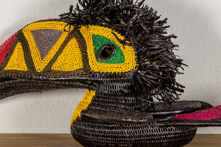 Black and Gold Toucan Bird