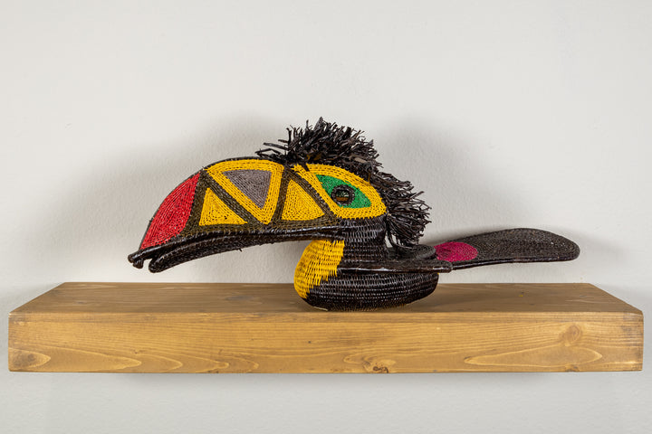 Black and Gold Toucan Bird