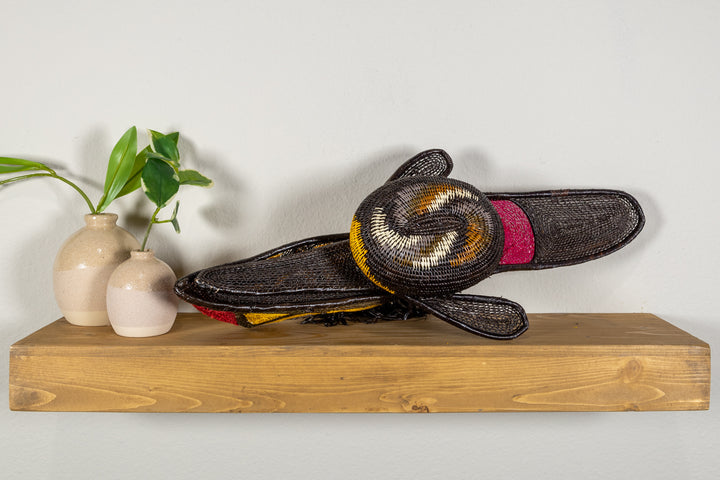 Black and Gold Toucan Bird