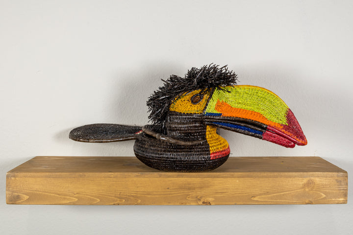 Green and Orange Toucan Bird