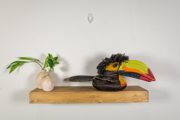 Green and Orange Toucan Bird