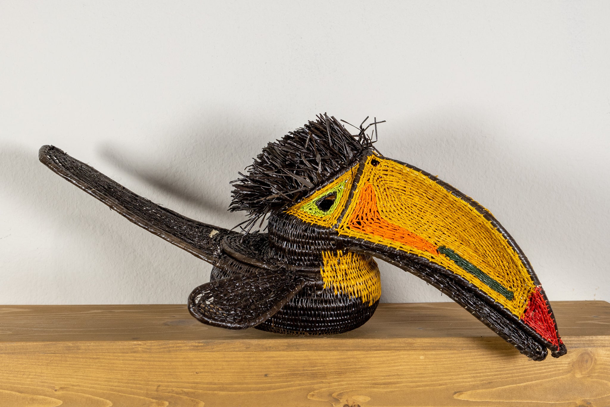 Black and Gold Toucan Bird