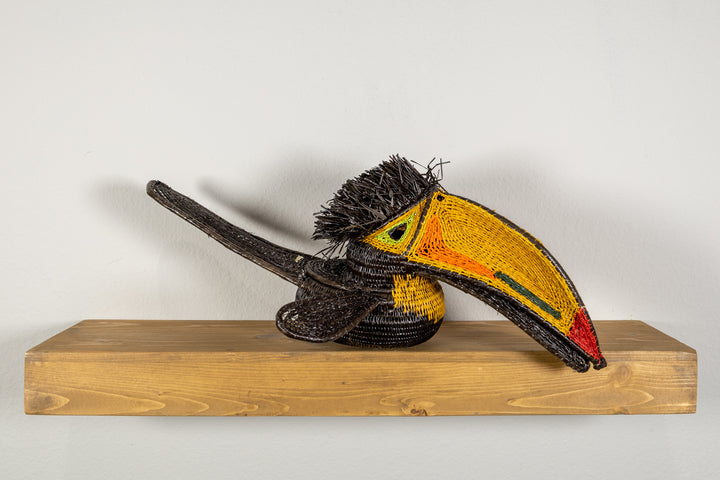 Black and Gold Toucan Bird