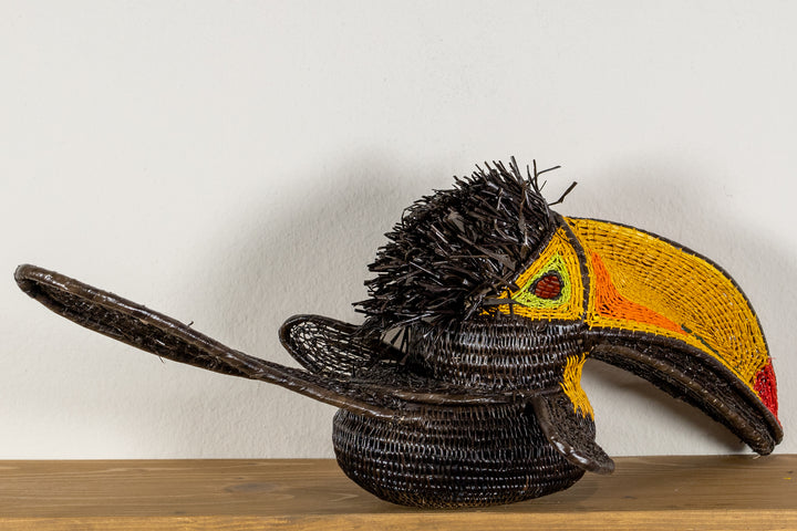 Black and Gold Toucan Bird