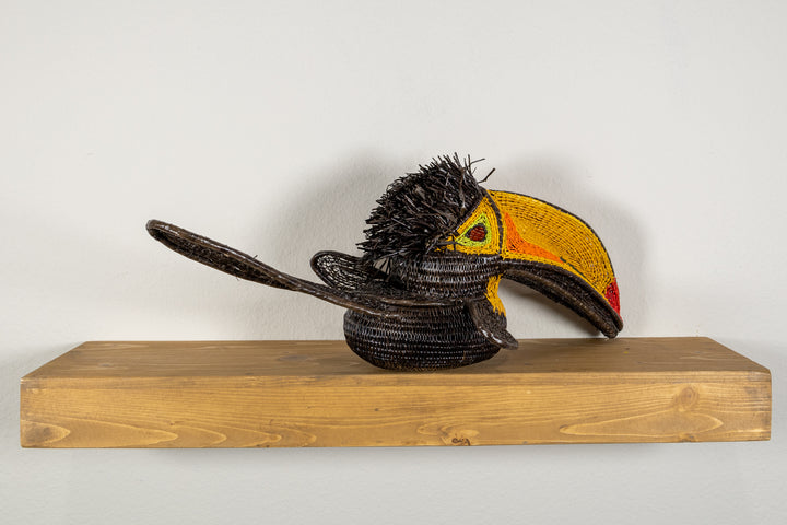 Black and Gold Toucan Bird