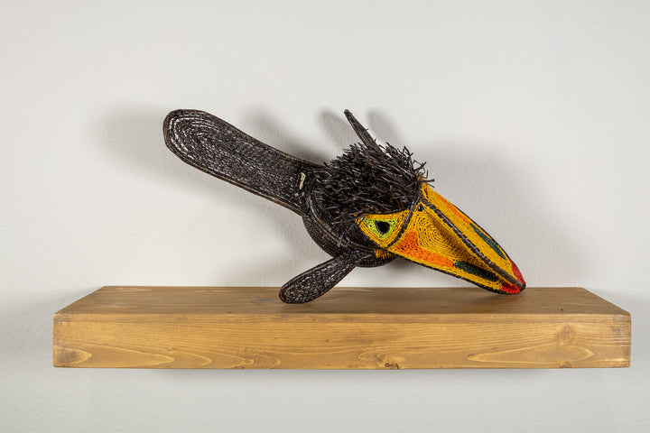 Black and Gold Toucan Bird
