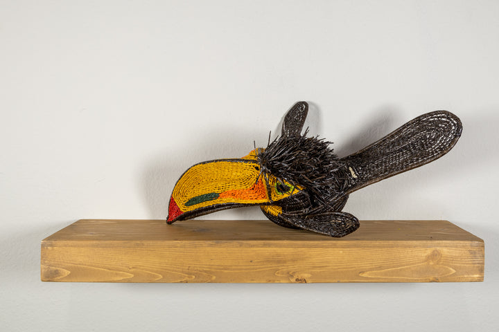 Black and Gold Toucan Bird