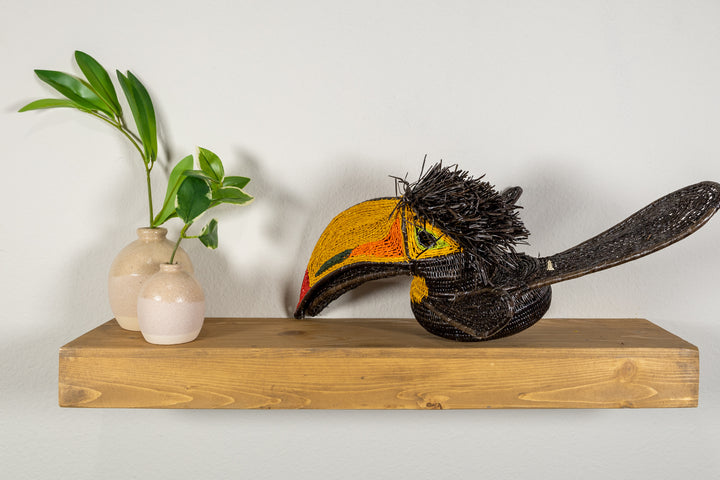 Black and Gold Toucan Bird
