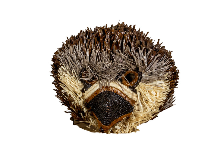Harpy Eagle Chick Bird Mask