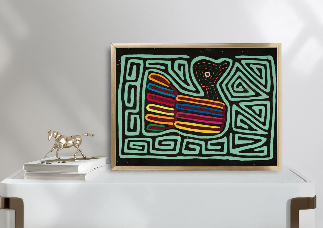 Rainbow Feather Pigeon Bird Mola