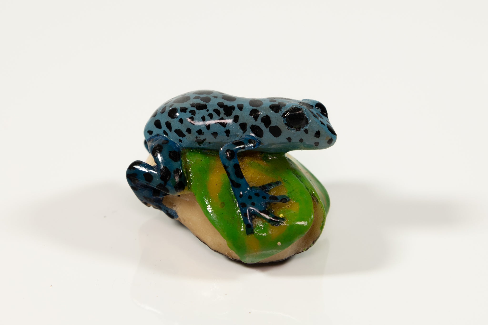 Blue Poison Dart Frog Tagua Carving