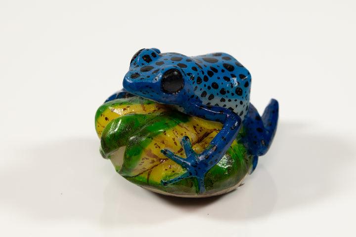 Blue Poison Dart Frog Tagua Carving