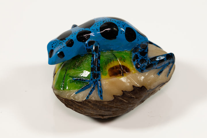 Blue Poison Dart Frog Tagua Carving