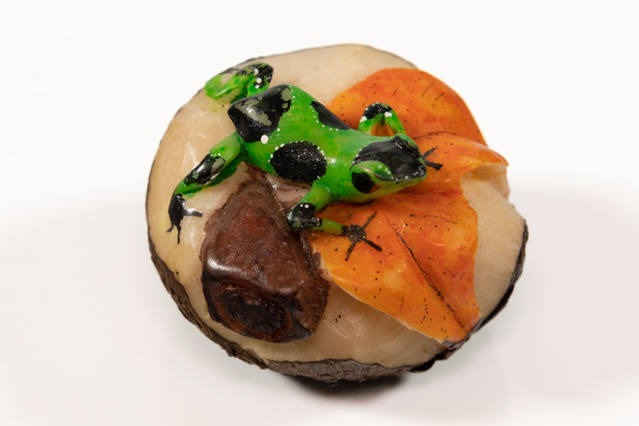 Green and Black Poison Dart Frog Tagua Carving